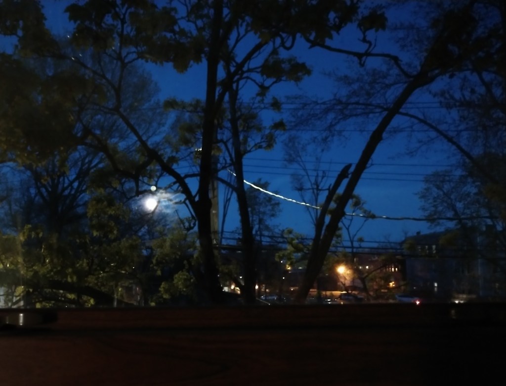 The moon low in the sky, the sky still holding a hint of day-blue.