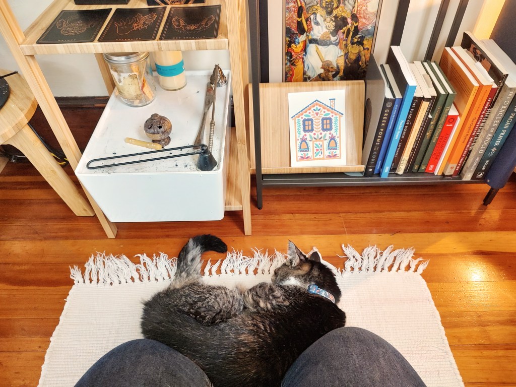 A cat sleeping on a small cotton throw rug at my knees. In the background, prayer books and storage and an icon of Apollon. Photo by Kaye Boesme.