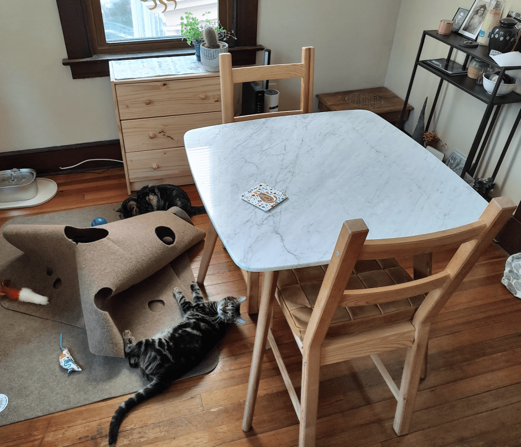 Two cats playing on a ripple rug in the lower left of the image. A small dining table takes up the center-right of the image. There is an ancestor shrine with photos and an urn in the upper right, with some icons on a lower shelf of Gods half-obscured by the table.